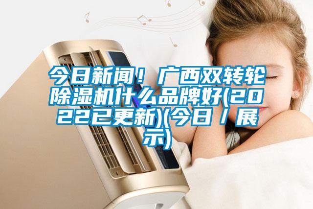 今日新聞！廣西雙轉(zhuǎn)輪除濕機(jī)什么品牌好(2022已更新)(今日／展示)