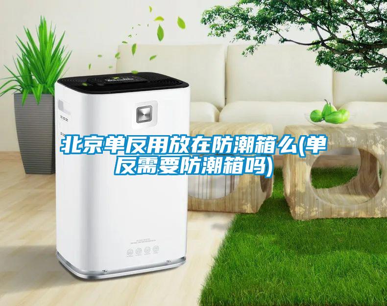 北京單反用放在防潮箱么(單反需要防潮箱嗎)