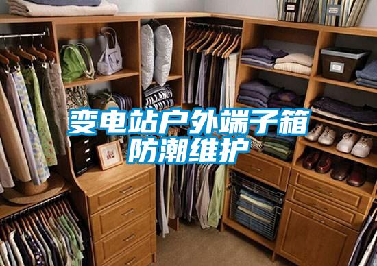 變電站戶外端子箱防潮維護(hù)