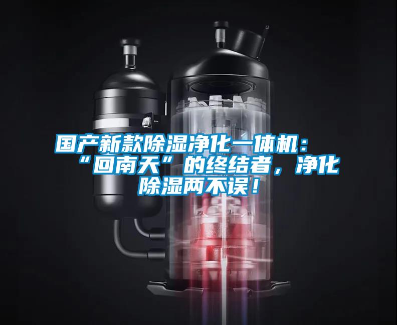 國(guó)產(chǎn)新款除濕凈化一體機(jī)：“回南天”的終結(jié)者，凈化除濕兩不誤！