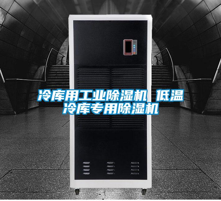 冷庫用工業(yè)除濕機 低溫冷庫專用除濕機