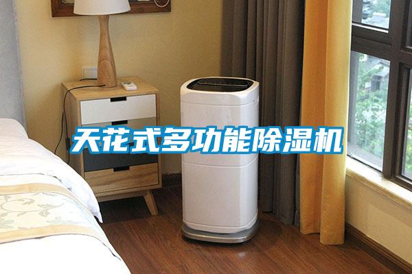 天花式多功能除濕機