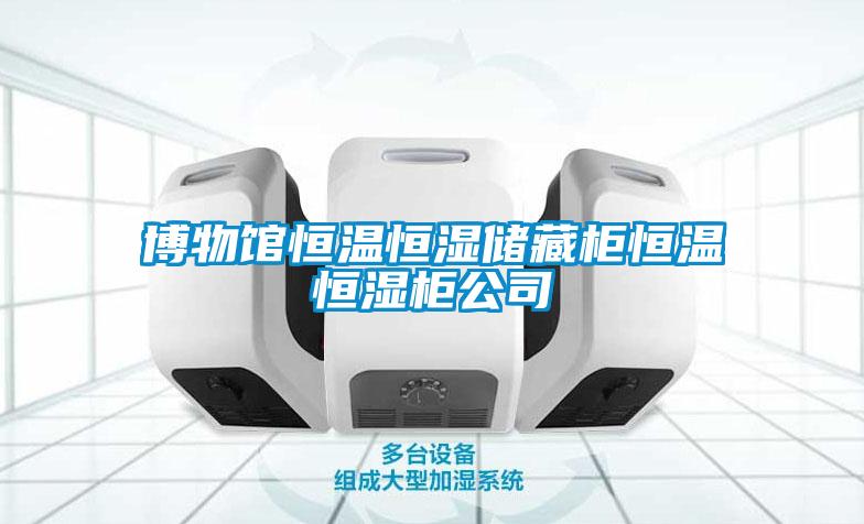 博物館恒溫恒濕儲(chǔ)藏柜恒溫恒濕柜公司