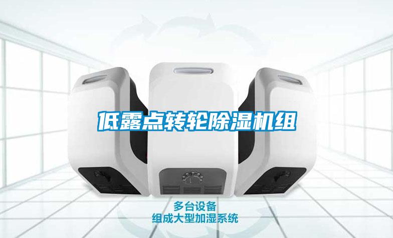 低露點轉(zhuǎn)輪除濕機組