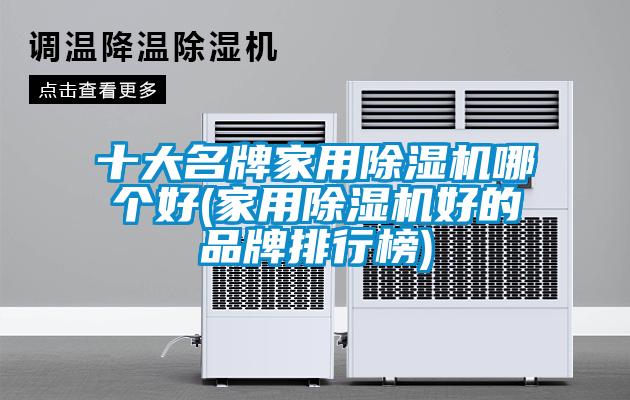 十大名牌家用除濕機(jī)哪個(gè)好(家用除濕機(jī)好的品牌排行榜)