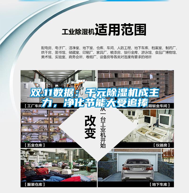 雙.11數(shù)據(jù)：千元除濕機成主力，凈化節(jié)能大受追捧