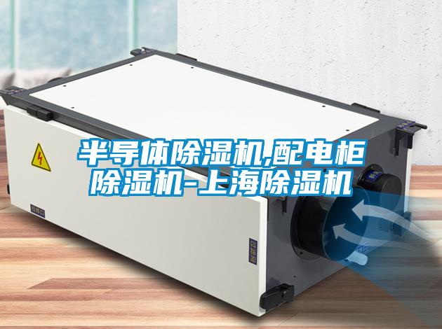 半導體除濕機,配電柜除濕機-上海除濕機