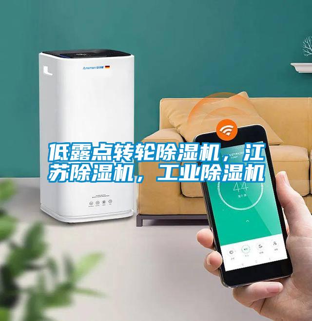 低露點轉(zhuǎn)輪除濕機，江蘇除濕機，工業(yè)除濕機