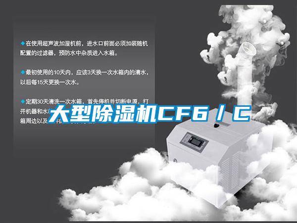 大型除濕機(jī)CF6／C