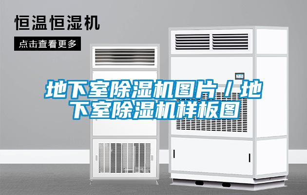 地下室除濕機圖片／地下室除濕機樣板圖