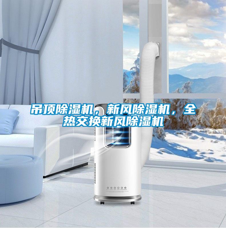 吊頂除濕機(jī)，新風(fēng)除濕機(jī)，全熱交換新風(fēng)除濕機(jī)