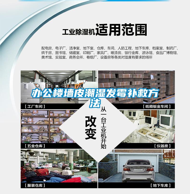 辦公樓墻皮潮濕發(fā)霉補救方法