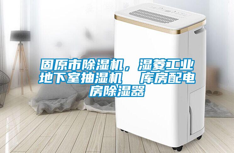 固原市除濕機(jī)，濕菱工業(yè)地下室抽濕機(jī)  庫房配電房除濕器