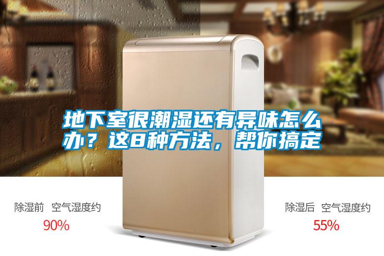 地下室很潮濕還有異味怎么辦？這8種方法，幫你搞定