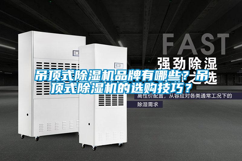 吊頂式除濕機(jī)品牌有哪些？吊頂式除濕機(jī)的選購技巧？