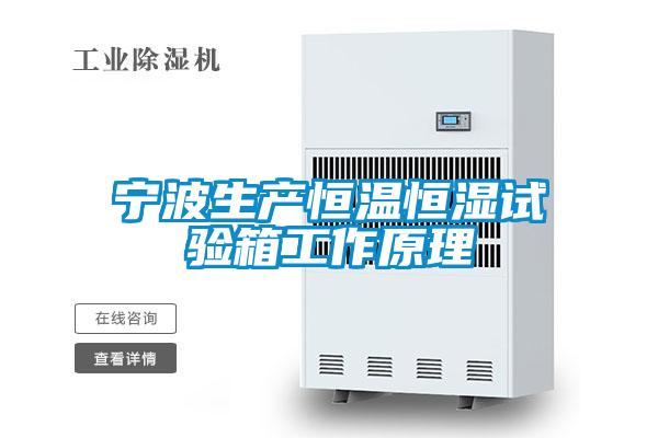 寧波生產(chǎn)恒溫恒濕試驗(yàn)箱工作原理
