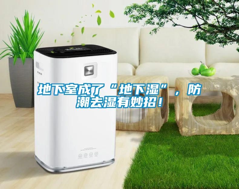 地下室成了“地下濕”，防潮去濕有妙招！