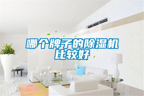 哪個牌子的除濕機比較好