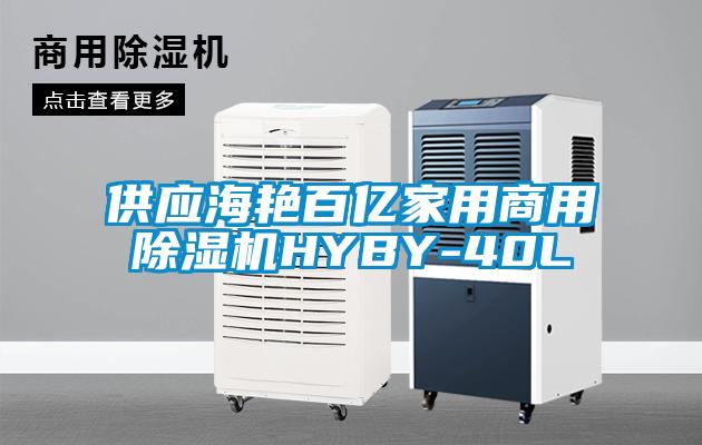 供應(yīng)海艷百億家用商用除濕機(jī)HYBY-40L