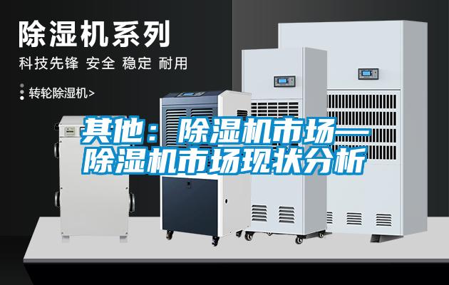 其他：除濕機(jī)市場(chǎng)—除濕機(jī)市場(chǎng)現(xiàn)狀分析