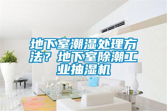 地下室潮濕處理方法？地下室除潮工業(yè)抽濕機(jī)