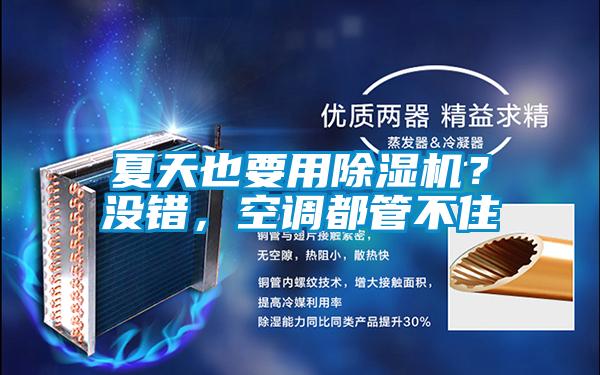 夏天也要用除濕機(jī)？沒(méi)錯(cuò)，空調(diào)都管不住