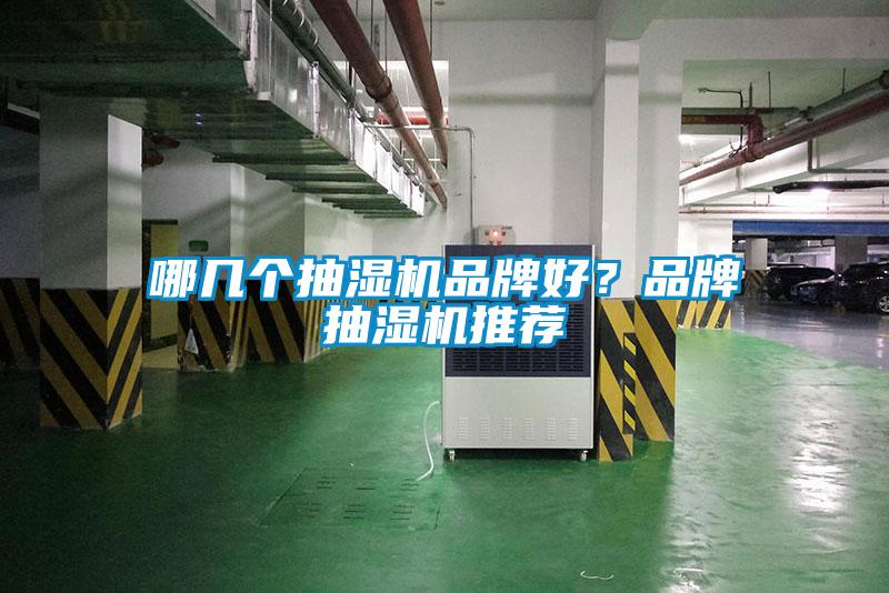 哪幾個抽濕機(jī)品牌好？品牌抽濕機(jī)推薦