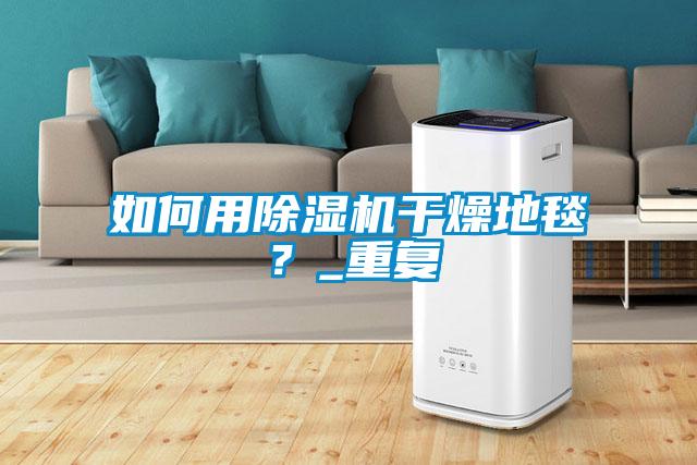 如何用除濕機(jī)干燥地毯？_重復(fù)