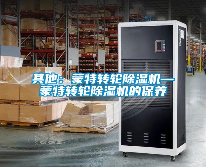 其他：蒙特轉(zhuǎn)輪除濕機—蒙特轉(zhuǎn)輪除濕機的保養(yǎng)