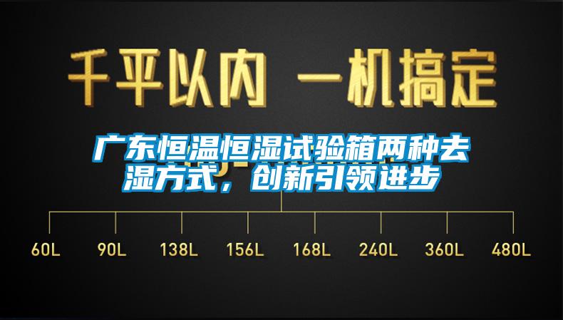 廣東恒溫恒濕試驗箱兩種去濕方式，創(chuàng)新引領(lǐng)進步