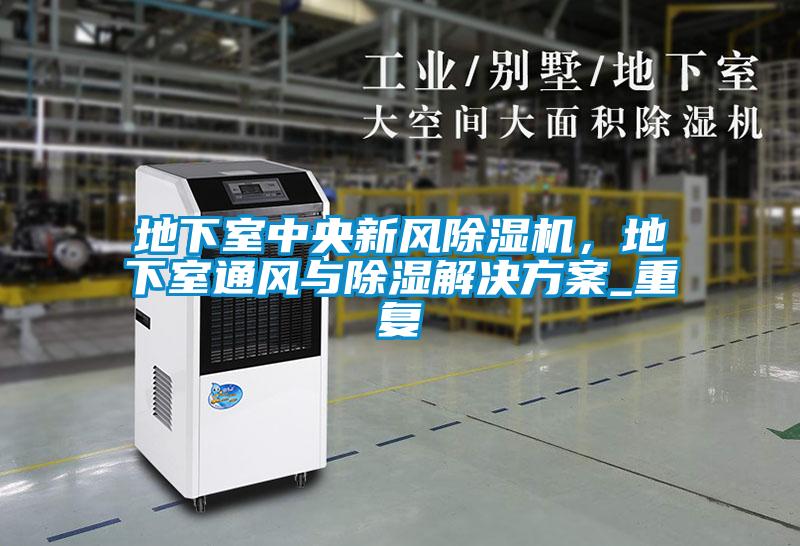 地下室中央新風(fēng)除濕機，地下室通風(fēng)與除濕解決方案_重復(fù)