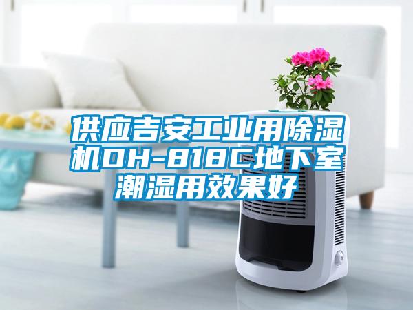 供應(yīng)吉安工業(yè)用除濕機(jī)DH-818C地下室潮濕用效果好