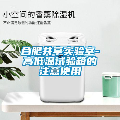 合肥共享實驗室-高低溫試驗箱的注意使用