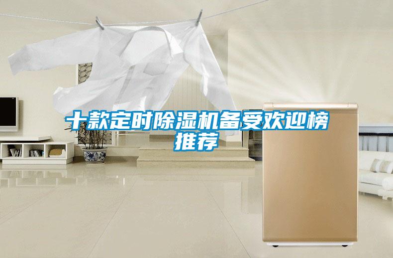 十款定時(shí)除濕機(jī)備受歡迎榜推薦