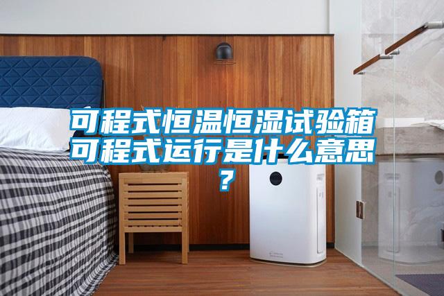 可程式恒溫恒濕試驗箱可程式運(yùn)行是什么意思？