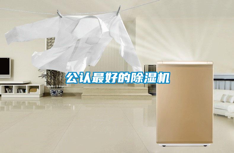 公認(rèn)最好的除濕機(jī)