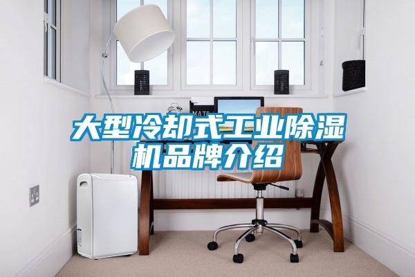 大型冷卻式工業(yè)除濕機品牌介紹