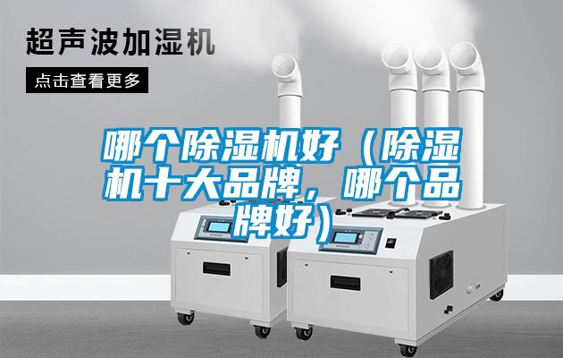 哪個除濕機(jī)好（除濕機(jī)十大品牌，哪個品牌好）