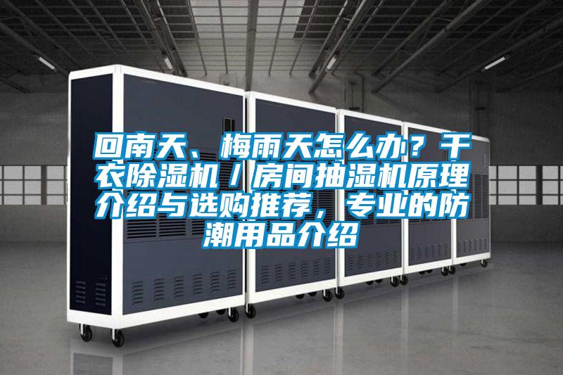 回南天、梅雨天怎么辦？干衣除濕機／房間抽濕機原理介紹與選購推薦，專業(yè)的防潮用品介紹