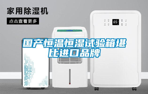 國產(chǎn)恒溫恒濕試驗箱堪比進口品牌