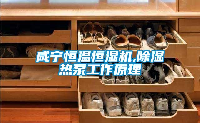 咸寧恒溫恒濕機(jī),除濕熱泵工作原理
