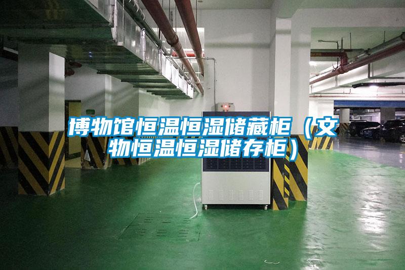 博物館恒溫恒濕儲(chǔ)藏柜（文物恒溫恒濕儲(chǔ)存柜）
