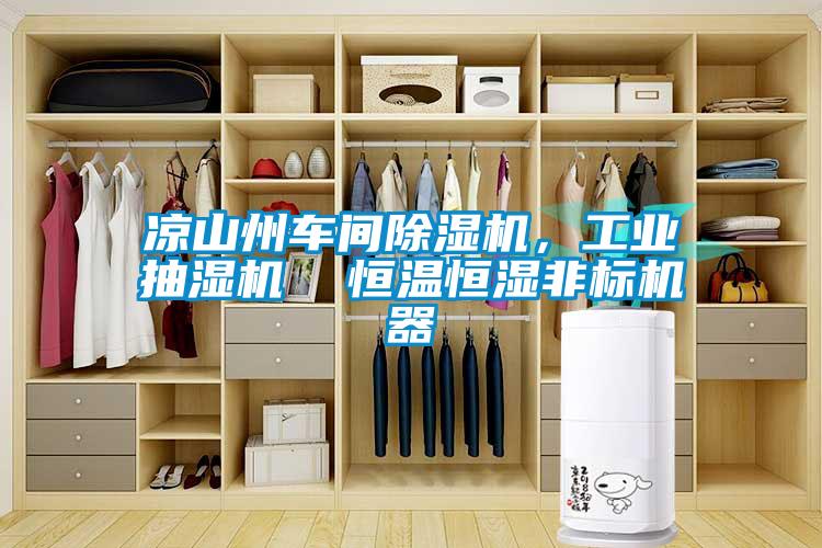 涼山州車間除濕機，工業(yè)抽濕機  恒溫恒濕非標(biāo)機器