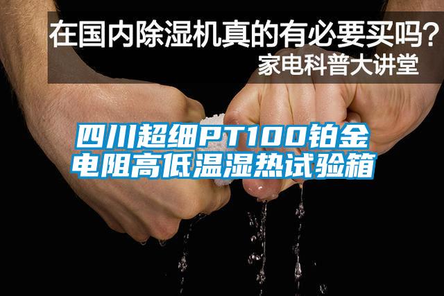 四川超細(xì)PT100鉑金電阻高低溫濕熱試驗箱