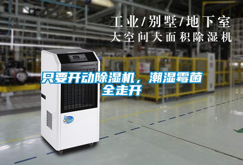 只要開動(dòng)除濕機(jī)，潮濕霉菌全走開