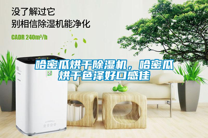 哈密瓜烘干除濕機，哈密瓜烘干色澤好口感佳