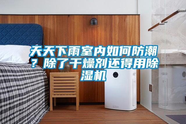 天天下雨室內(nèi)如何防潮？除了干燥劑還得用除濕機(jī)