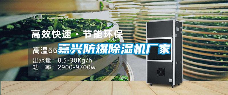 嘉興防爆除濕機(jī)廠家