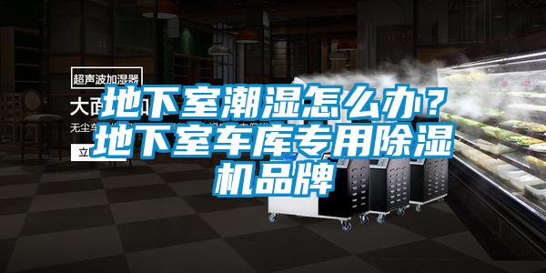 地下室潮濕怎么辦？地下室車(chē)庫(kù)專(zhuān)用除濕機(jī)品牌
