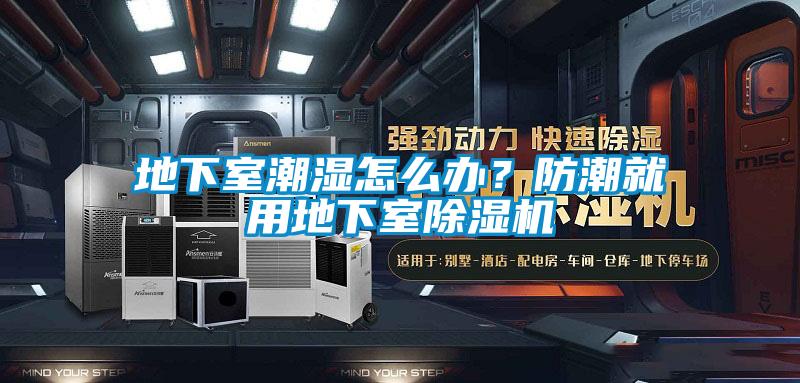 地下室潮濕怎么辦？防潮就用地下室除濕機(jī)